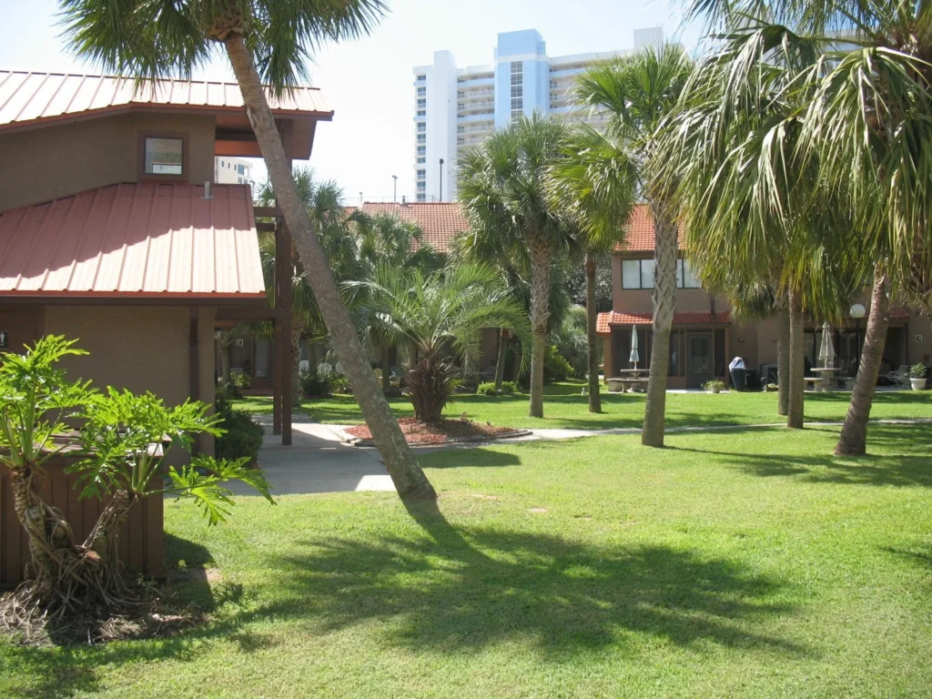 Picture of the condo central lawn with palm trees and the round flower shaped shadow of a palm.